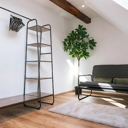 City Apartment 特克下的基希海姆